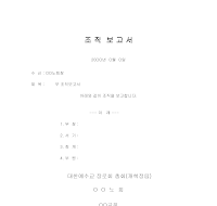 조직보고서 조직보고서